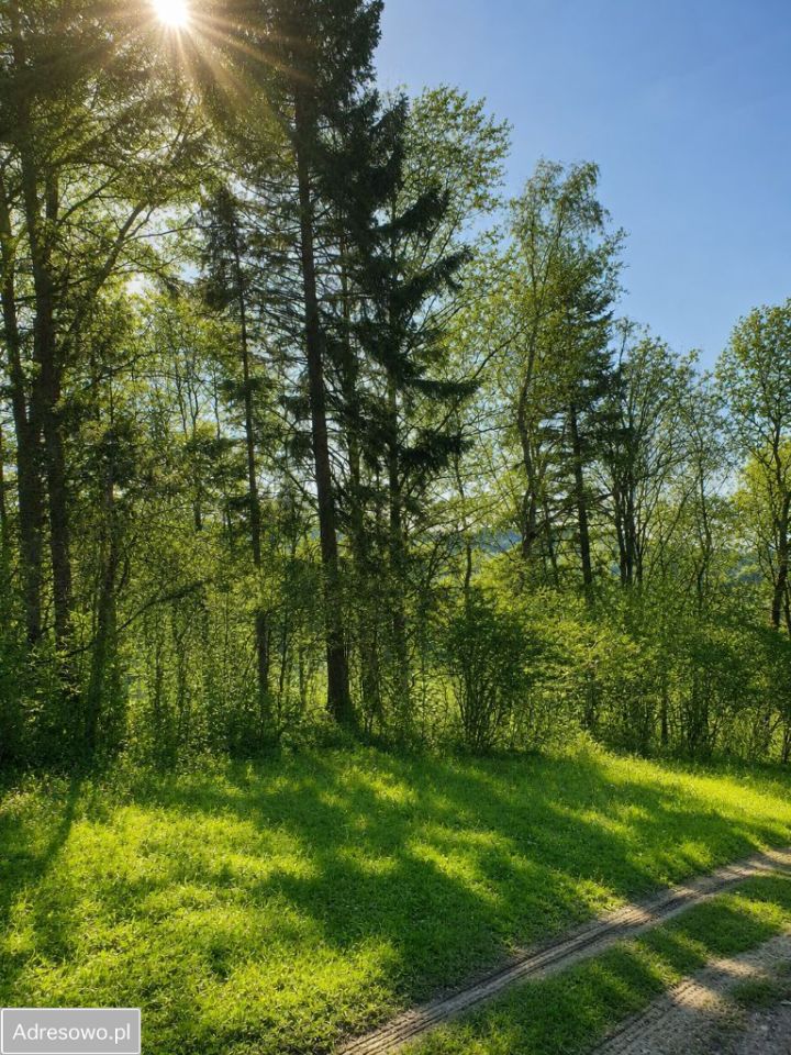 Działka inwestycyjna Konradów. Zdjęcie 8