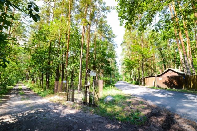 Działka rekreacyjna Poddębie. Zdjęcie 15