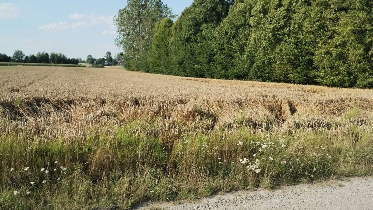 Działka rolno-budowlana Trębaczów. Zdjęcie 7