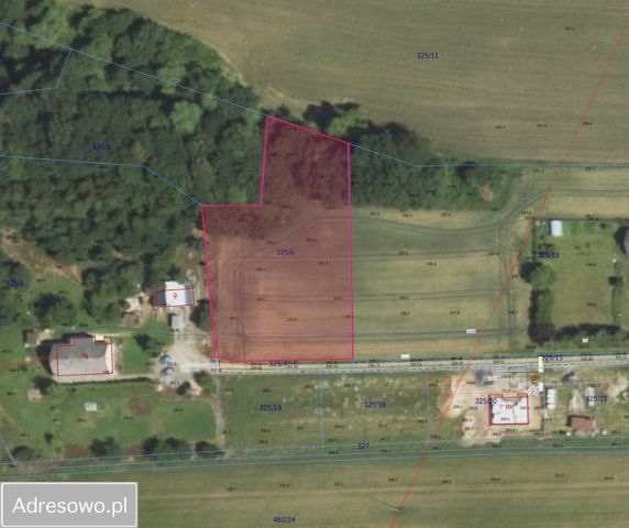 Działka budowlana Frydrychowice. Zdjęcie 1