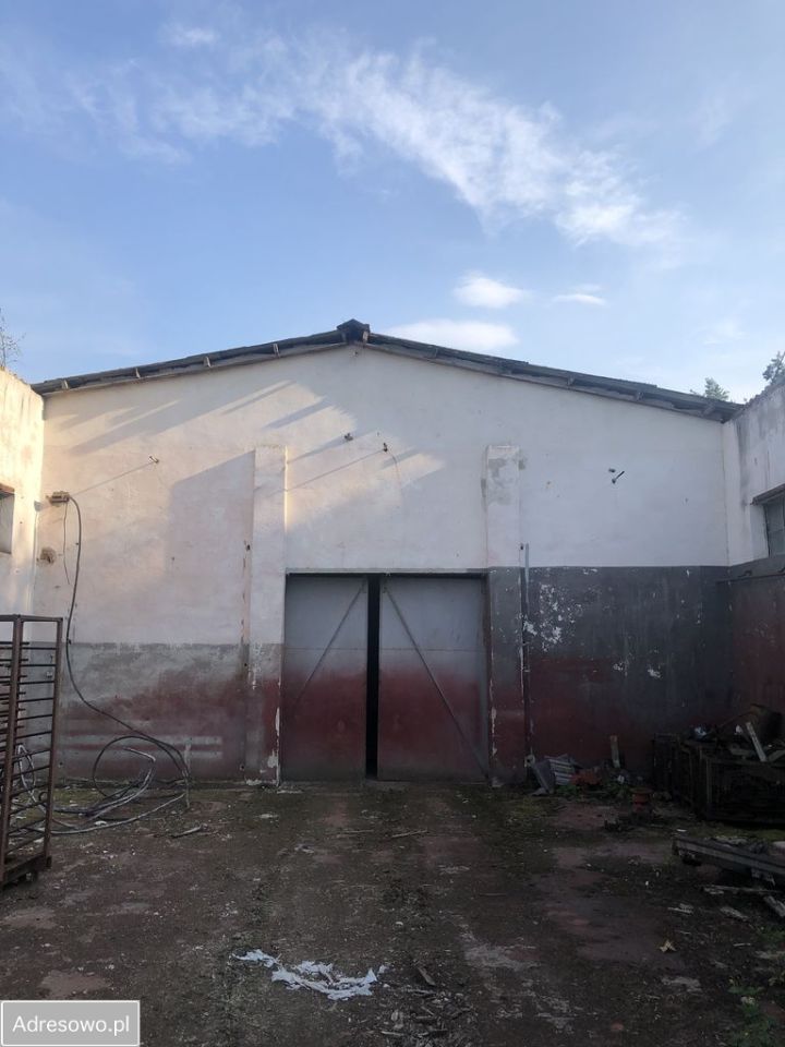 Działka inwestycyjna Przytoczna. Zdjęcie 6