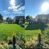 Działka rod Gliwice Sośnica. Zdjęcie 3