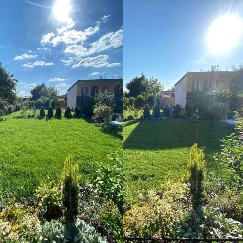 Działka rod Gliwice Sośnica. Zdjęcie 4