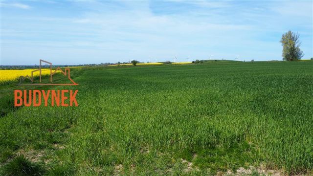 Działka rolna Zakrzewo. Zdjęcie 10