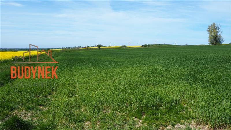 Działka rolna Zakrzewo. Zdjęcie 10