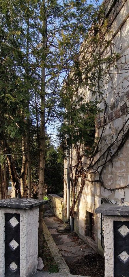 Działka rod Toruń Kaszczorek. Zdjęcie 4