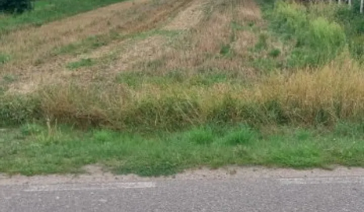 Działka siedliskowa Wiski