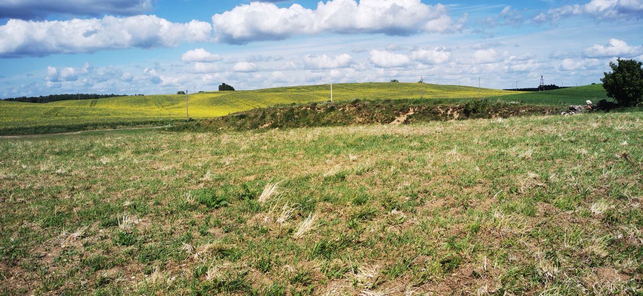 Działka rolna Łodwigowo. Zdjęcie 7
