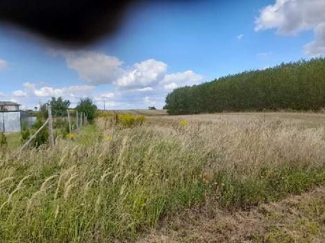 Działka budowlana Choszczno, ul. Wysoka. Zdjęcie 1