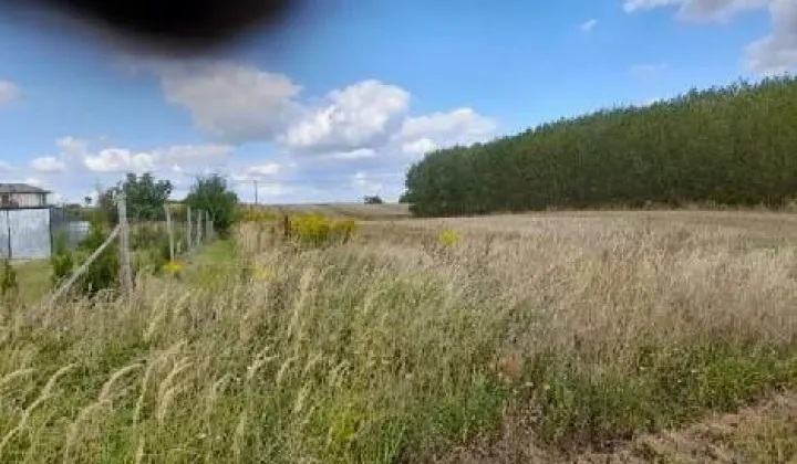 Działka budowlana Choszczno, ul. Wysoka