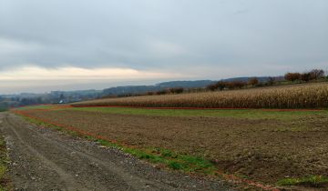 Działka siedliskowa Brochocin