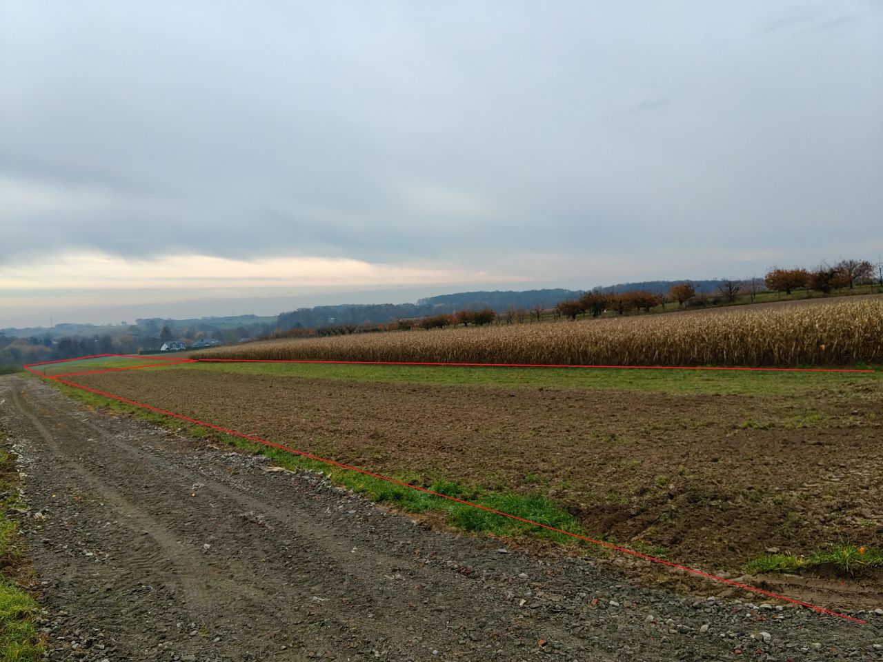 Działka siedliskowa Brochocin. Zdjęcie 2