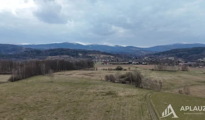 Działka siedliskowa Podgórzyn