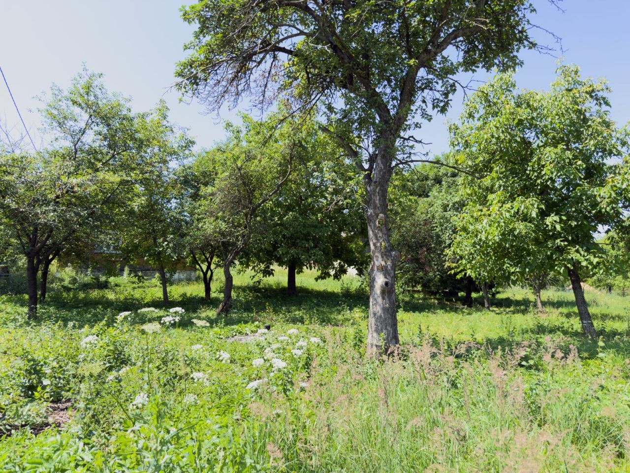dom wolnostojący, 2 pokoje Tuligłowy Górna Część, -----. Zdjęcie 6