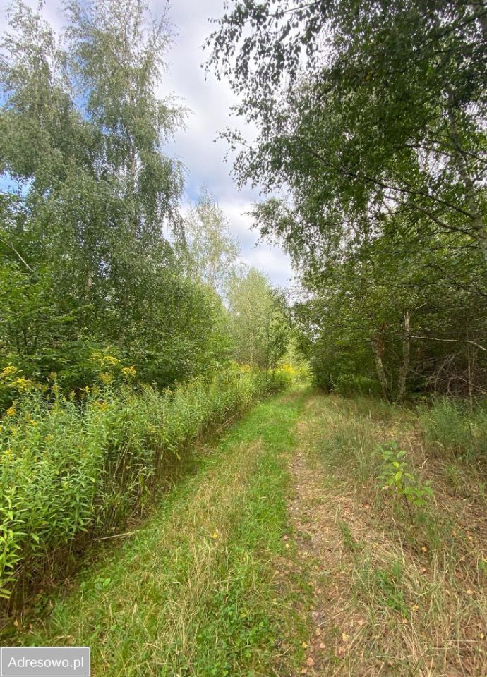 Działka budowlana Lipków, ul. Ignacego Mościckiego. Zdjęcie 4