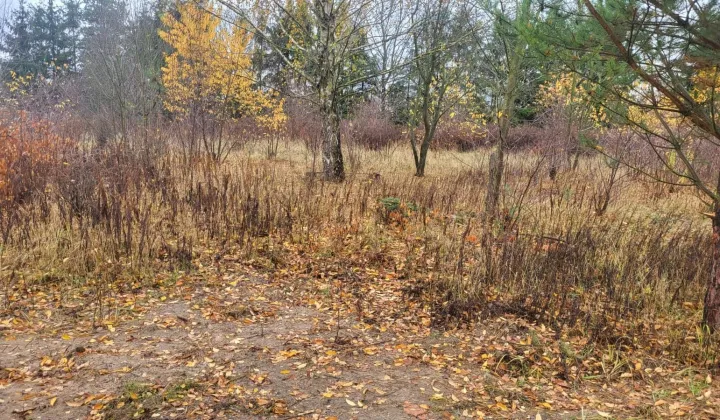 Działka budowlana Zboiska, ul. Lawendowa