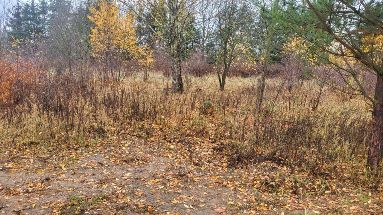 Działka budowlana Zboiska, ul. Lawendowa