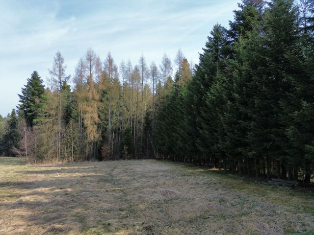 dom wolnostojący, 5 pokoi Bączal Dolny. Zdjęcie 24