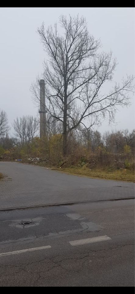 Działka inwestycyjna Tomaszów Mazowiecki, ul. Spalska. Zdjęcie 5