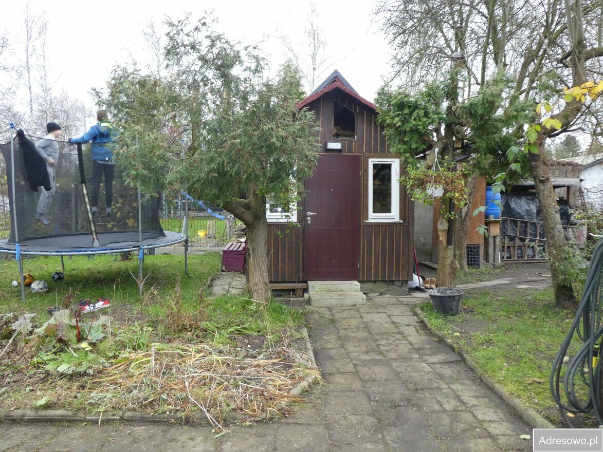 Działka rod Katowice, ul. Porfirowa. Zdjęcie 1