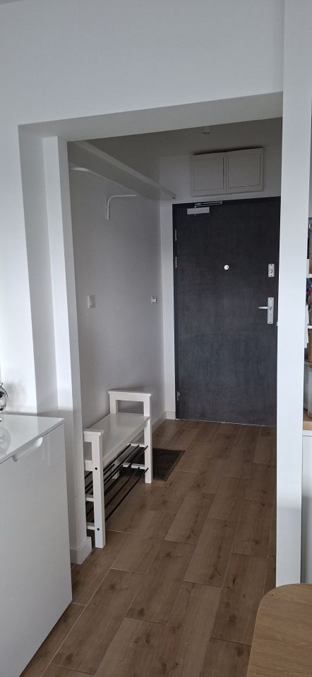 Mieszkanie 1-pokojowe Poznań Winogrady. Zdjęcie 5