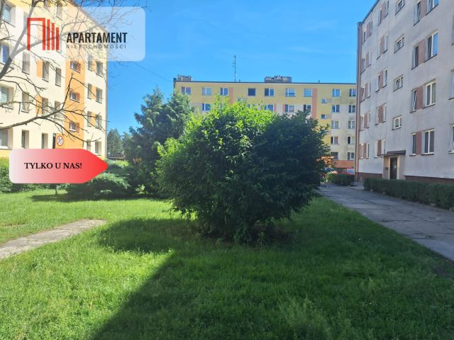 Mieszkanie 2-pokojowe Potulice. Zdjęcie 1