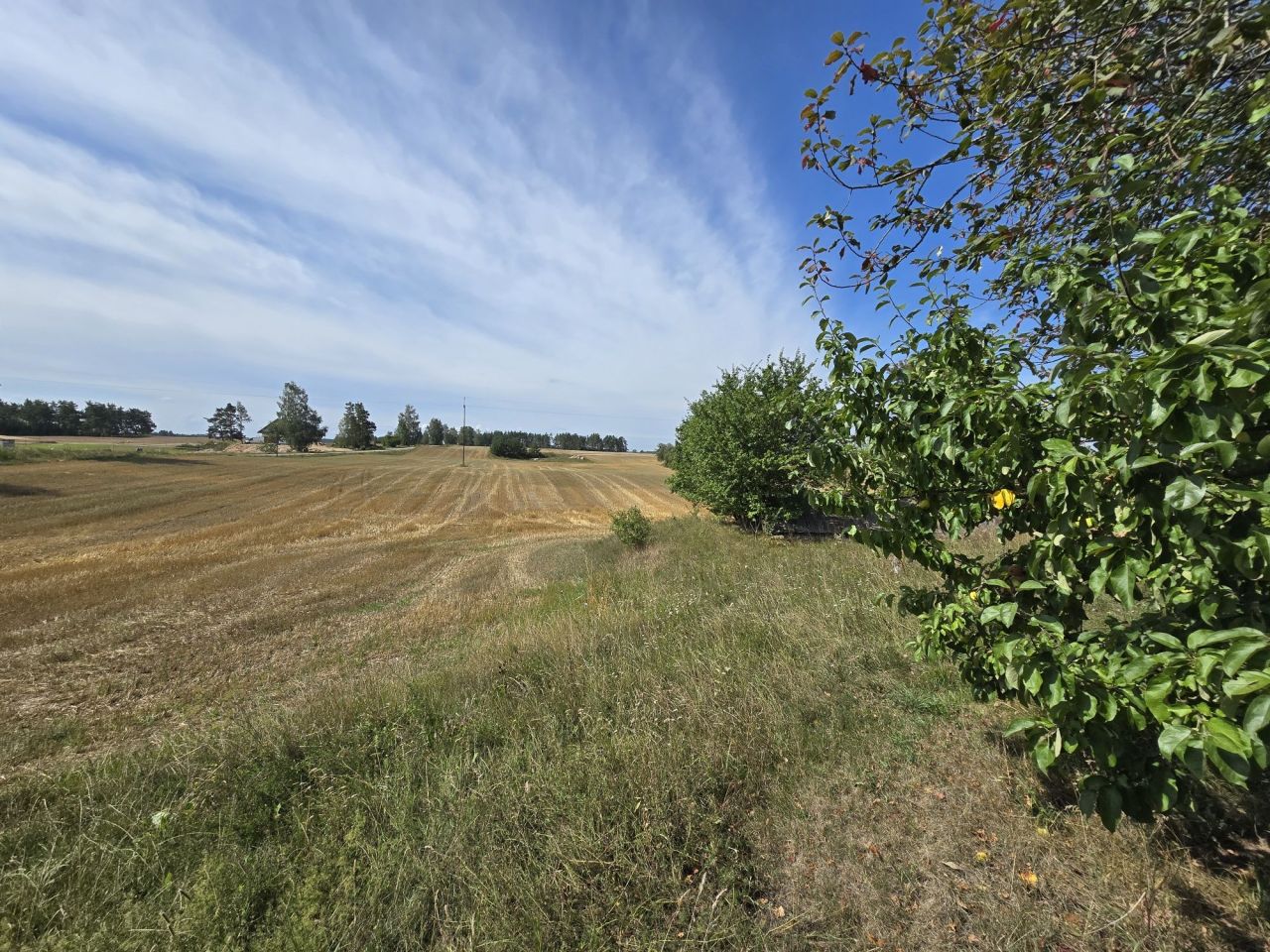 gospodarstwo Berżałowce. Zdjęcie 4