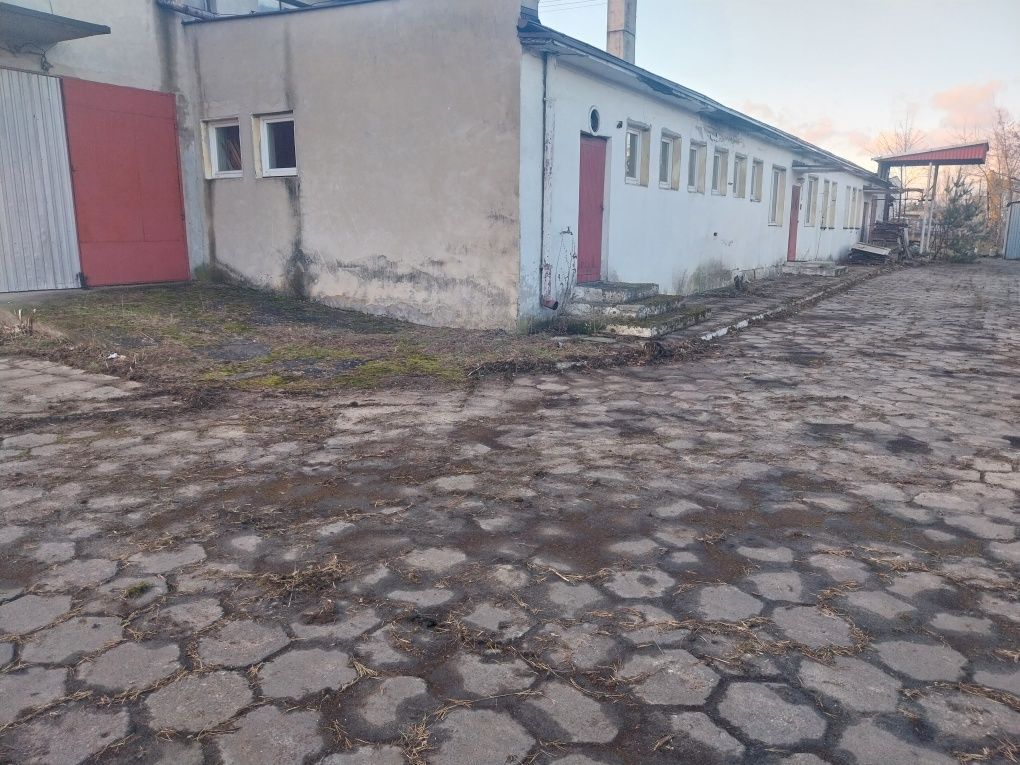 Nieruchomość komercyjna Klementów. Zdjęcie 4
