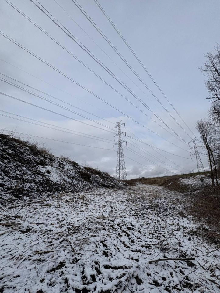 Działka rolna Rzozów. Zdjęcie 8