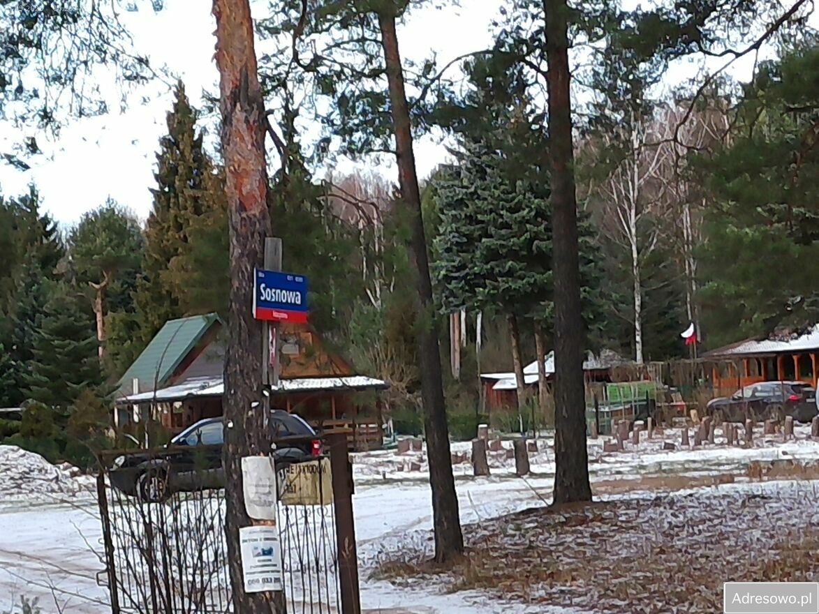 Działka leśna Marynino. Zdjęcie 8