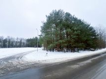 Działka budowlana Wólka Bałtowska. Zdjęcie 4