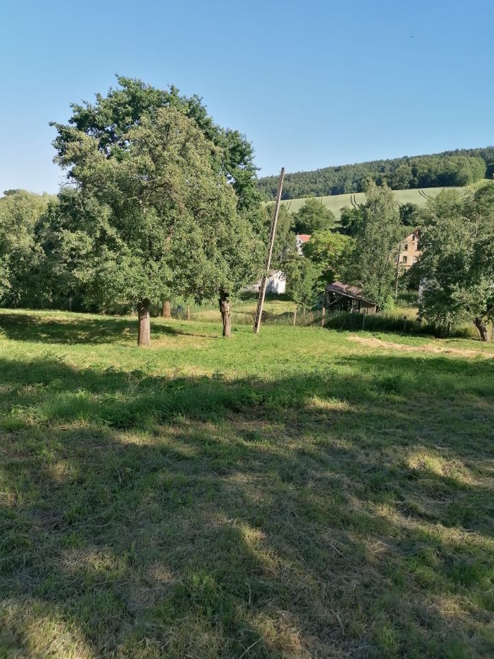 Działka rolno-budowlana Stare Rochowice, Stare Rochowice. Zdjęcie 9