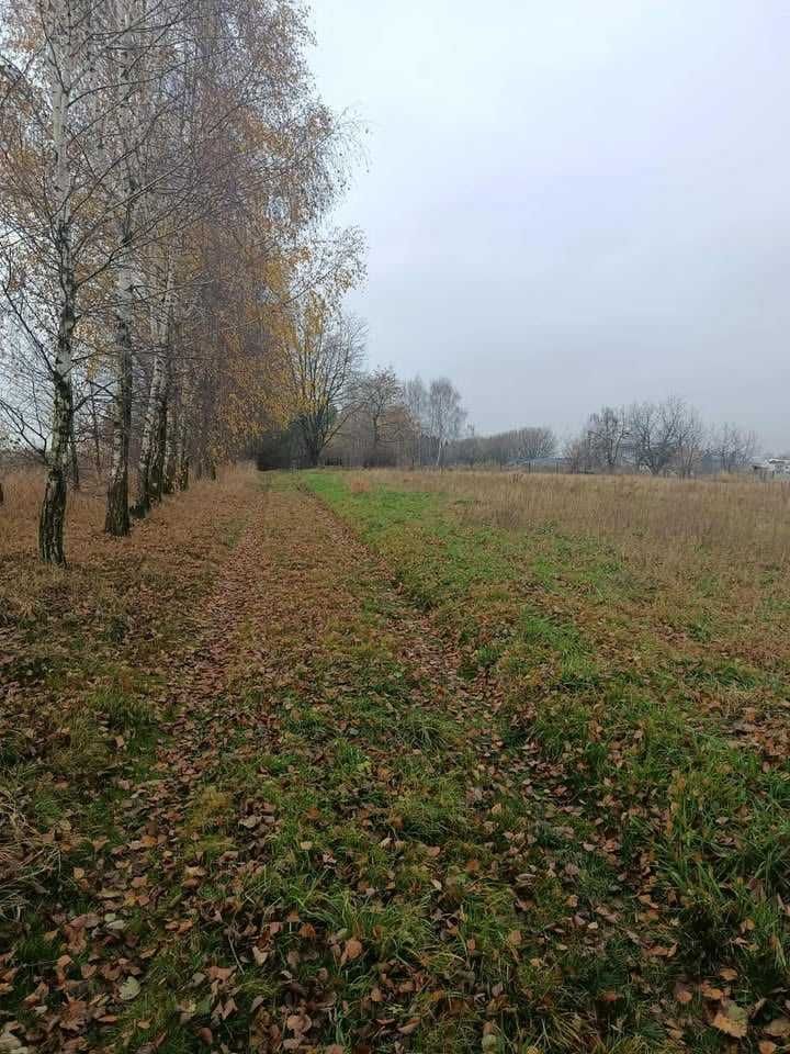 Działka siedliskowa Hecznarowice. Zdjęcie 4