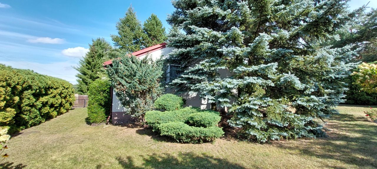 dom letniskowy, 3 pokoje Anastazewo. Zdjęcie 10