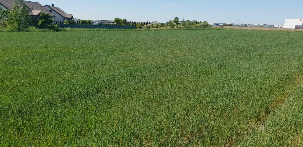 Działka rolno-budowlana Lusówko, ul. Grabowa. Zdjęcie 3