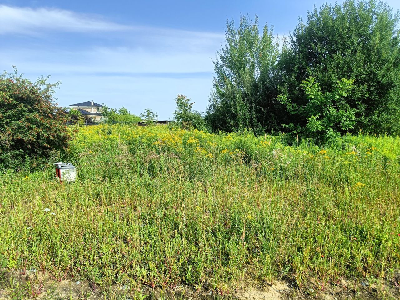 Działka budowlana Pełczyce, ul. Cicha. Zdjęcie 3