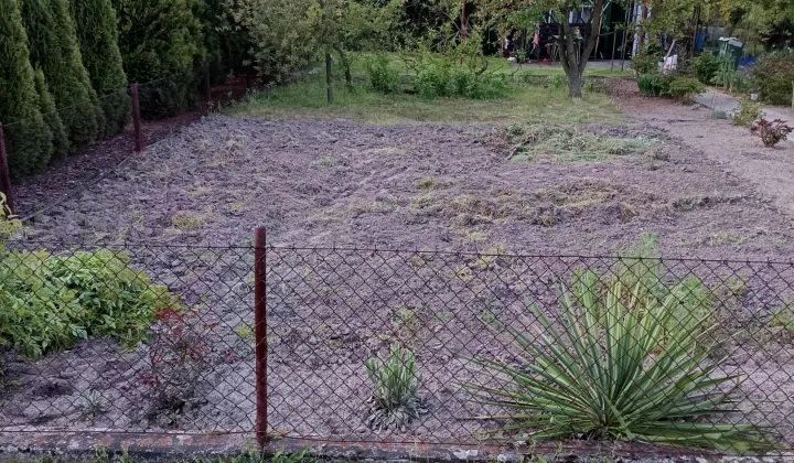 Działka rekreacyjna Nowe Skalmierzyce, Działkowa