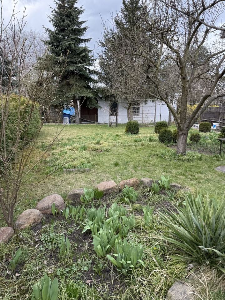 Działka rekreacyjna Poznań Smochowice, ul. Wichrowa. Zdjęcie 8