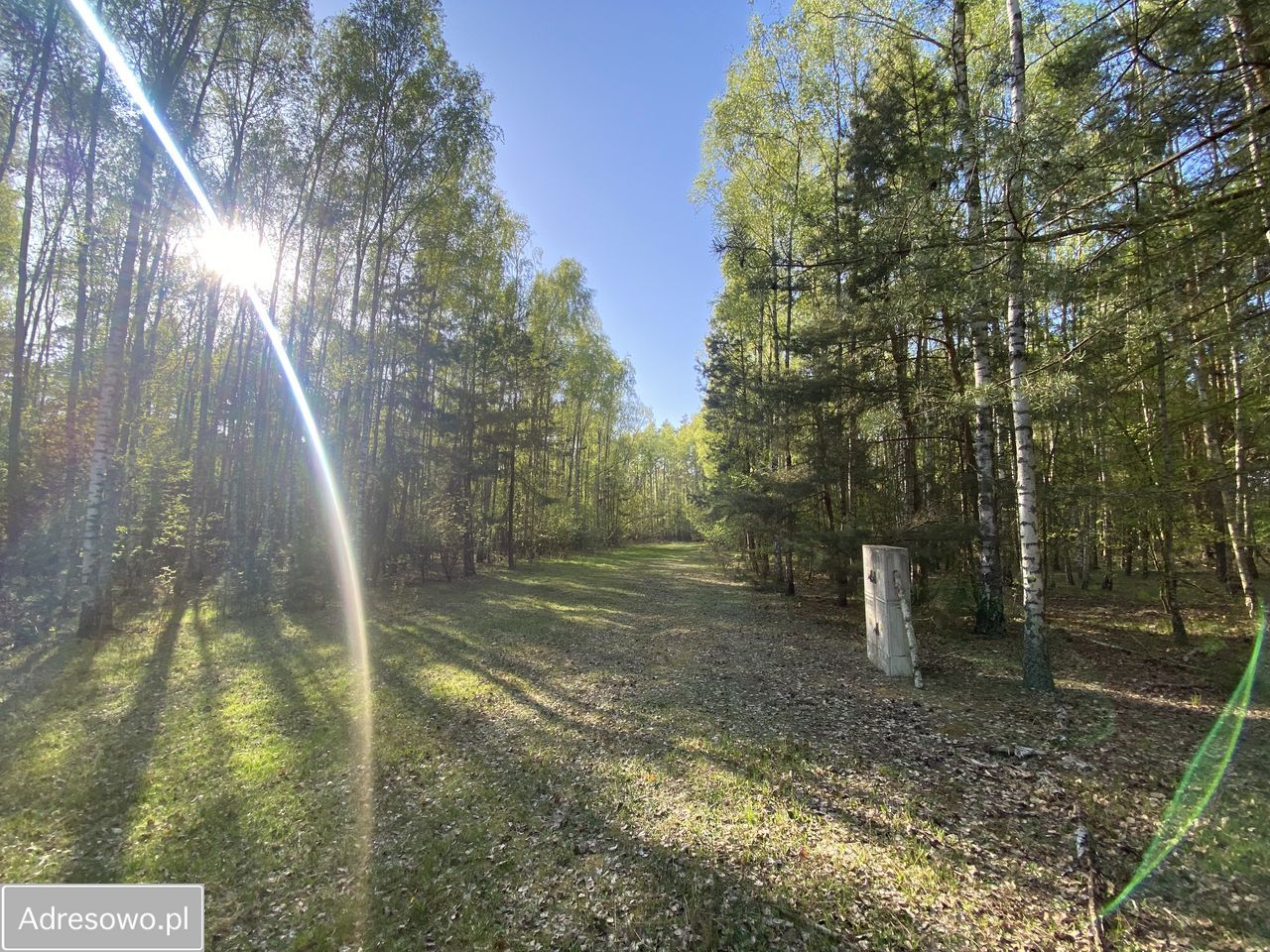 Działka budowlana Skórka. Zdjęcie 11