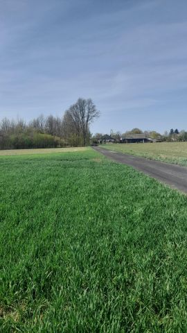 Działka rolno-budowlana Policzna, ul. Daleka. Zdjęcie 4