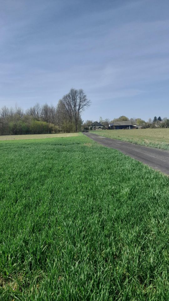 Działka rolno-budowlana Policzna, ul. Daleka. Zdjęcie 4