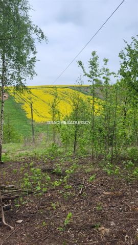 Działka budowlana Michałowice, ul. Koźlica. Zdjęcie 15