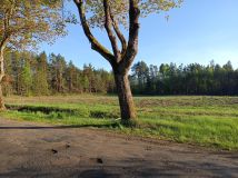 Działka budowlana Darżkowo. Zdjęcie 2