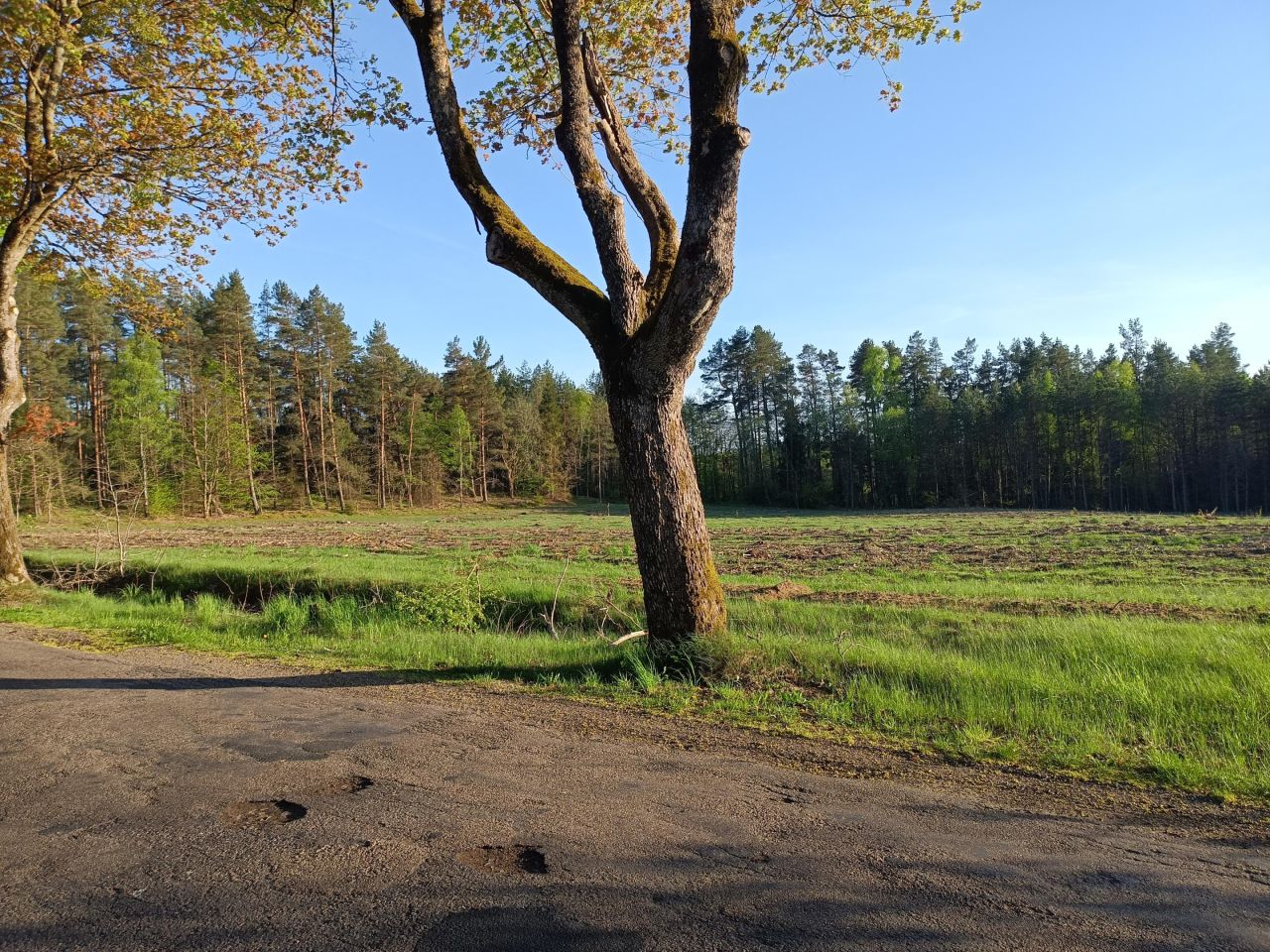 Działka budowlana Darżkowo. Zdjęcie 3