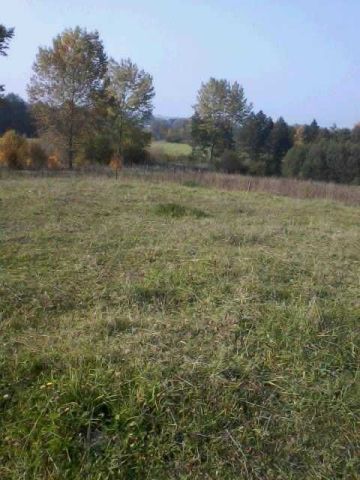 Działka rolna Przerośl Gołdapska. Zdjęcie 1