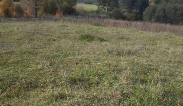 Działka rolna Przerośl Gołdapska