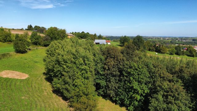 dom wolnostojący, 3 pokoje Strzeszyn. Zdjęcie 6