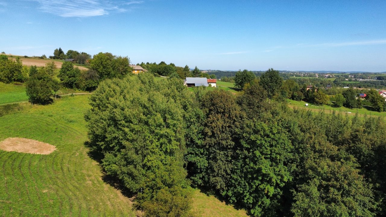 dom wolnostojący, 3 pokoje Strzeszyn. Zdjęcie 6