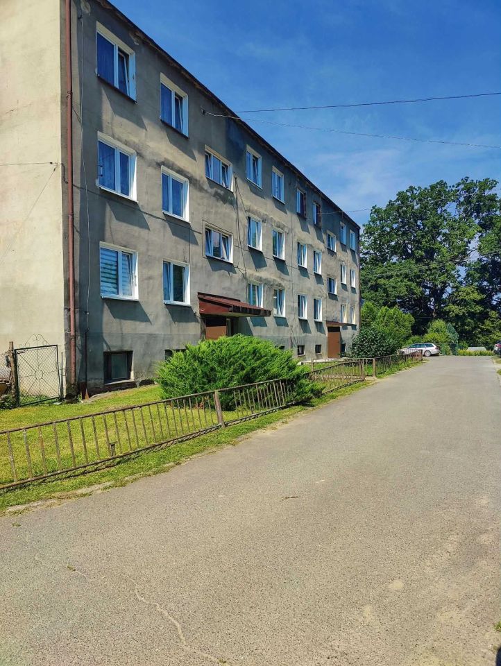 Mieszkanie 1-pokojowe Witryłów. Zdjęcie 7
