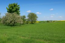 Działka rolno-budowlana Kamień Kamień Górny